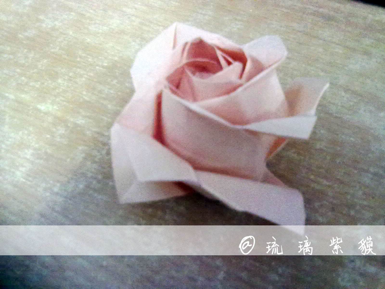 玫瑰.jpg