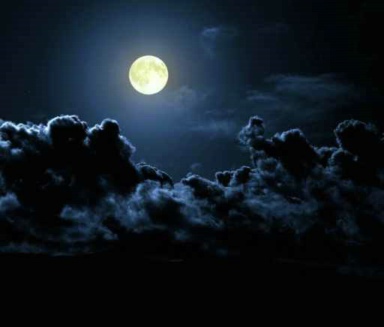 moonlight_iww7lawa.jpg
