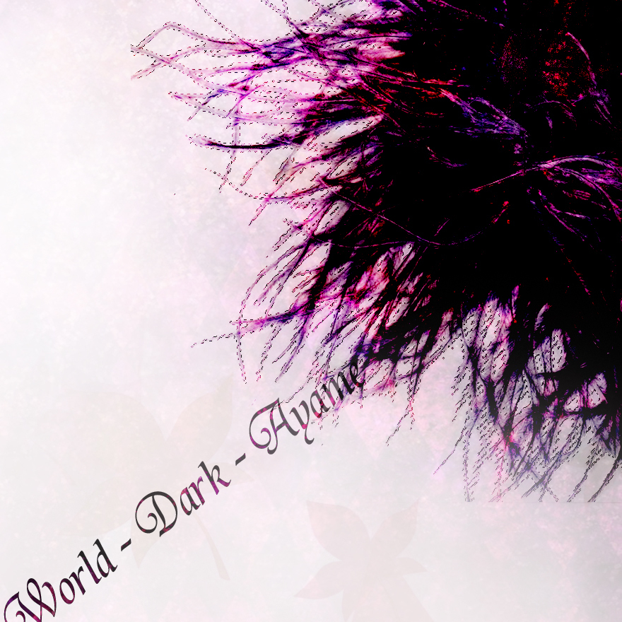 ph01.紫黑色的世界
