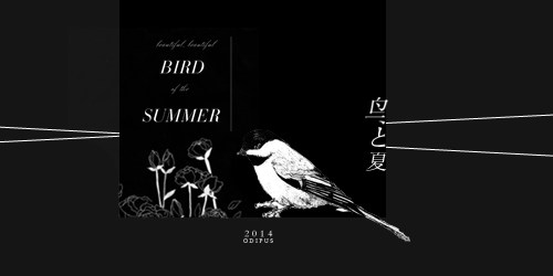 鸟と夏.jpg